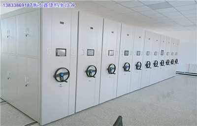 延安69242 移动密集铁柜双柱 实业集团 上市